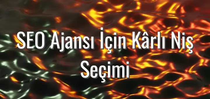 SEO Ajansı İçin Kârlı Niş Seçimi - SEO ajansı için niş seçimi